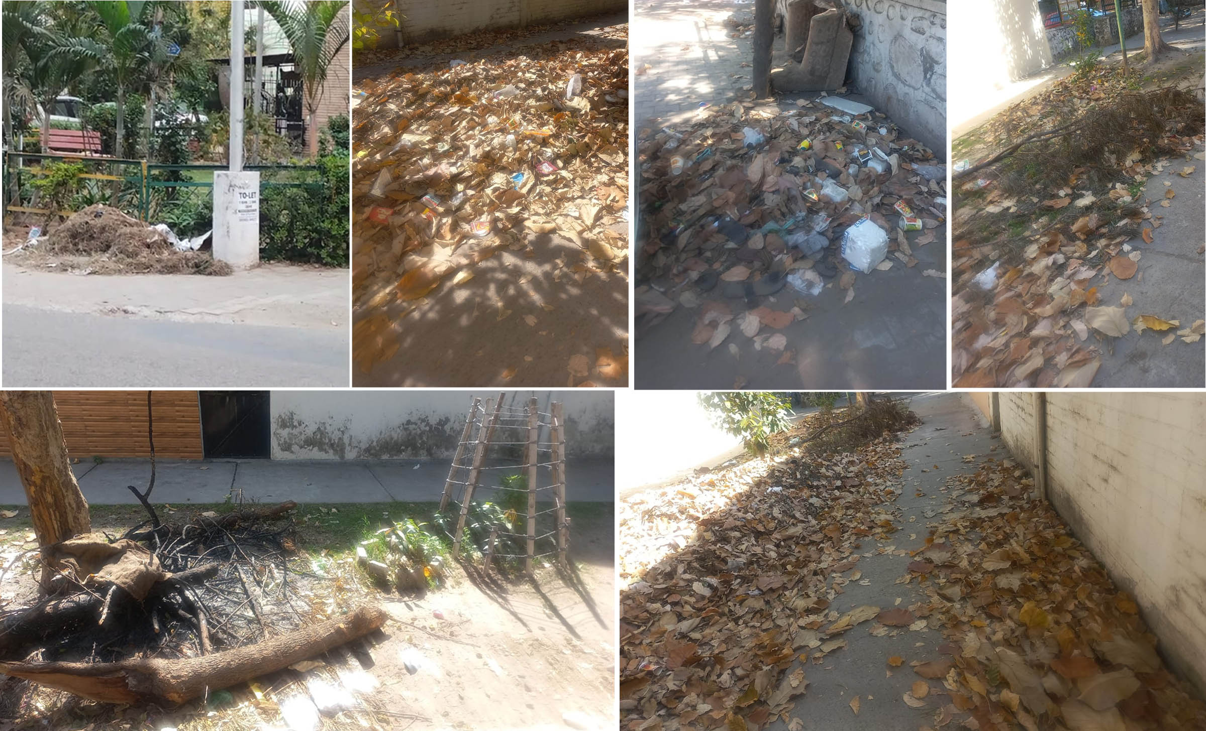 Despite the presence of three councillors from the occupying party, the sanitation system in Phase 4 is worse - Karan Johar